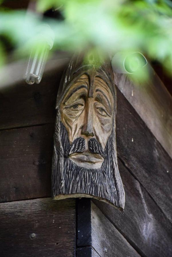 ゴルニ・ミラノヴァツ Kuca Za Odmor Todorovica Mlinヴィラ エクステリア 写真